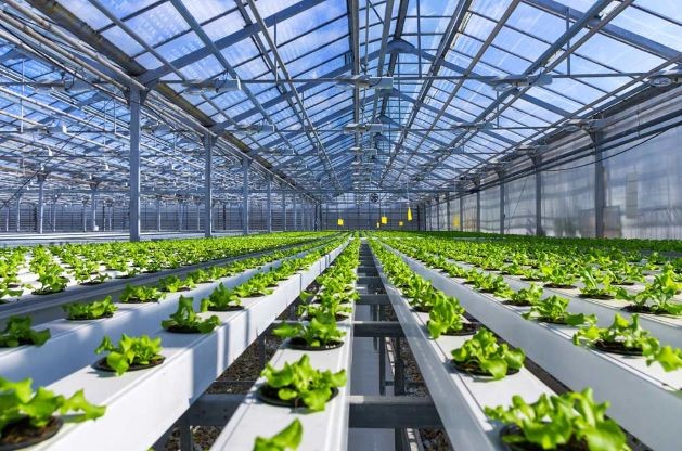 Extruded Plastics for Horticulture, Hydroponics, & Agriculture